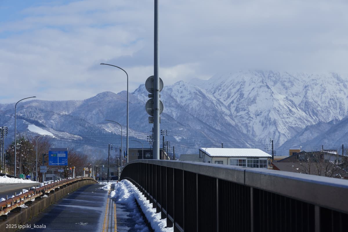 【新潟県】浦佐駅周辺を歩きました(上越新幹線 利用者最小 何も無い)