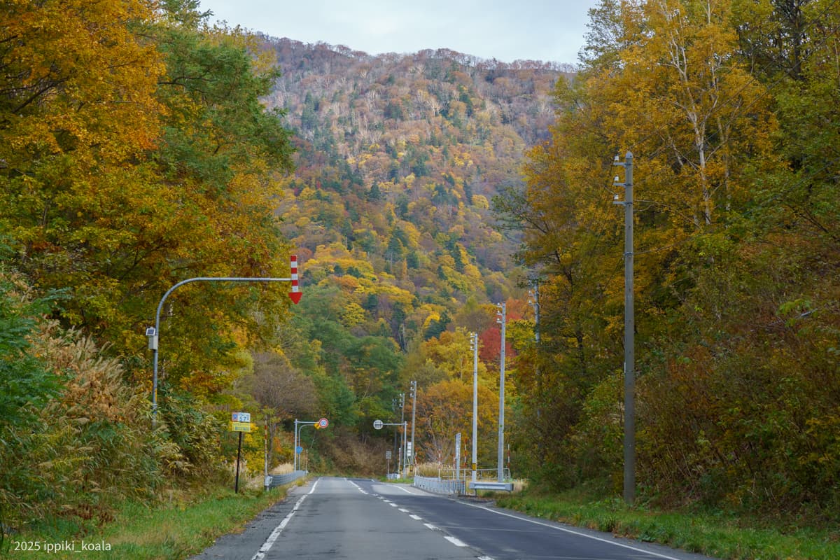 【北海道】濃昼漁港とかつて陸の孤島と呼ばれた雄冬へ(2025/10 北海道旅行 Part 3)