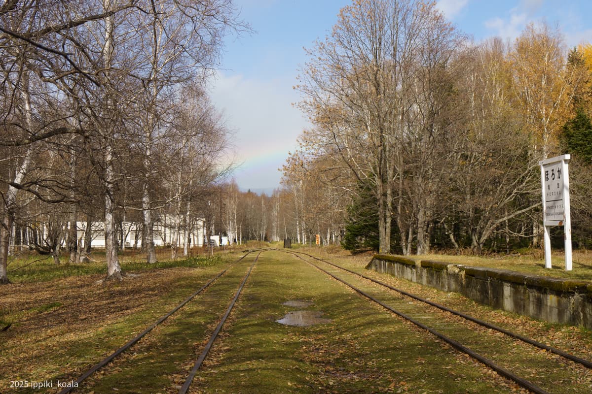 【北海道】羽幌炭鉱跡と 道の駅 しほろ温泉のモール泉(2025/10 北海道旅行 Part 4)